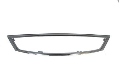 Trim/Protection Strip, radiator grille BLIC 6502-07-2555996Q