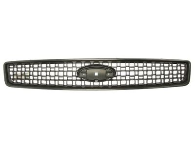 Radiator Grille BLIC 6502-07-2576991P