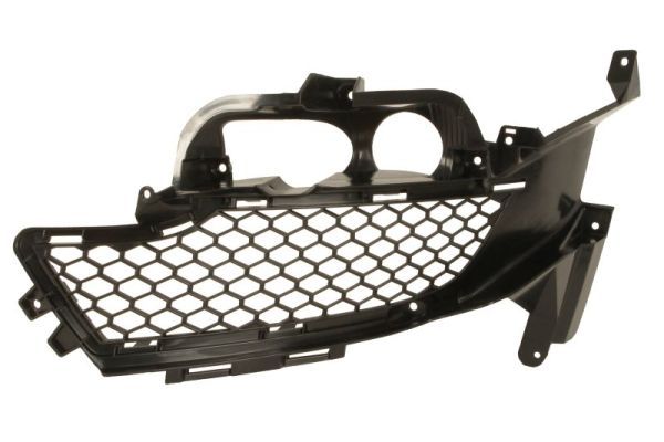 BLIC 6502-07-2586917P Ventilation Grille, bumper