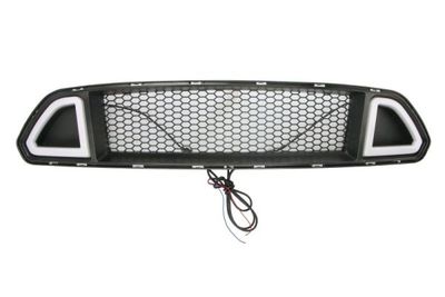 Radiator Grille BLIC 6502-07-2586991KP