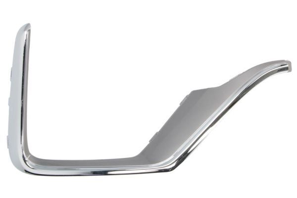 BLIC 6502-07-2951912P Trim/Protection Strip, bumper
