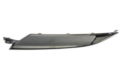 Headlight Trim BLIC 6502-07-2952211P