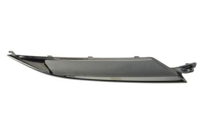 Headlight Trim BLIC 6502-07-2952212P