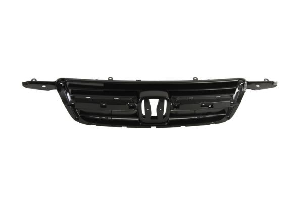 BLIC 6502-07-2956990P Radiator Grille