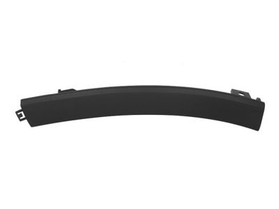 Trim/Protection Strip, bumper BLIC 6502-07-2957921P