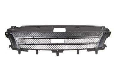 Radiator Grille BLIC 6502-07-3081990P