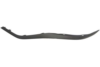 Headlight Trim BLIC 6502-07-3174211P