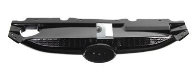 Radiator Grille BLIC 6502-07-3176990P