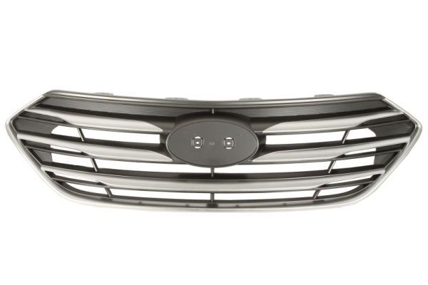BLIC 6502-07-3182995P Radiator Grille