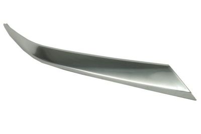 Trim/Protection Strip, radiator grille BLIC 6502-07-3184212PP