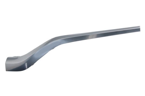 BLIC 6502-07-3184923P Trim/Protection Strip, bumper