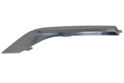 Trim/Protection Strip, bumper BLIC 6502-07-3184971P