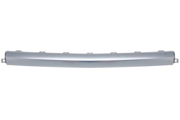 BLIC 6502-07-3184980P Trim/Protection Strip, radiator grille