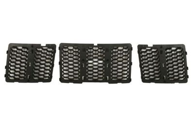 Radiator Grille BLIC 6502-07-3206992BP