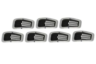 Radiator Grille BLIC 6502-07-3206996P