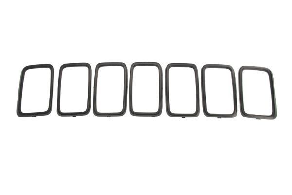 BLIC 6502-07-3207911P Trim/Protection Strip, radiator grille