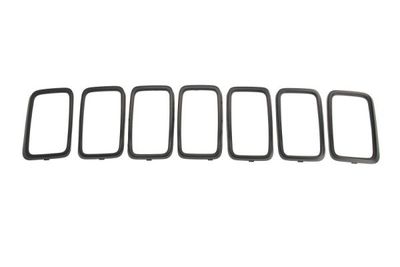 Trim/Protection Strip, radiator grille BLIC 6502-07-3207911P