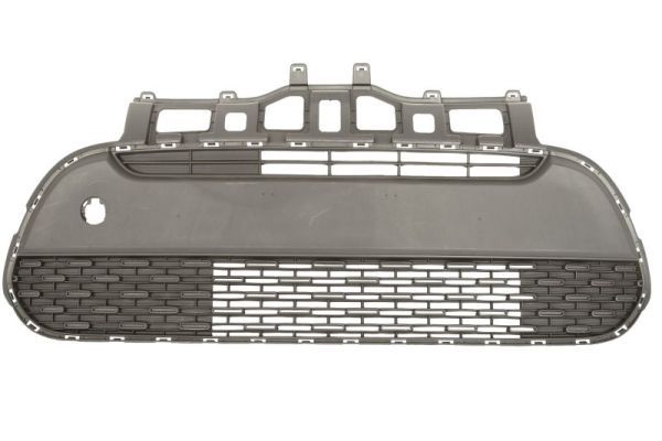 BLIC 6502-07-3271990P Ventilation Grille, bumper