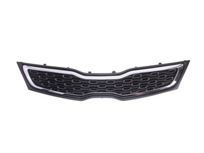 Radiator Grille BLIC 6502-07-3279990P