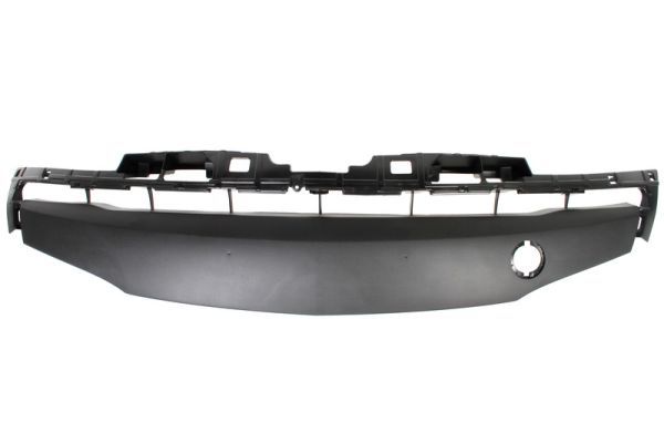 BLIC 6502-07-3477914P Cover, bumper