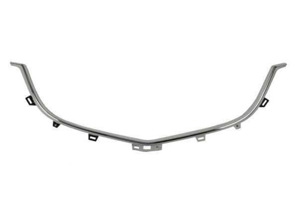 BLIC 6502-07-3495992P Trim/Protection Strip, radiator grille