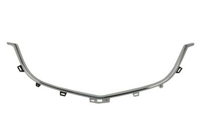 Trim/Protection Strip, radiator grille BLIC 6502-07-3495992P