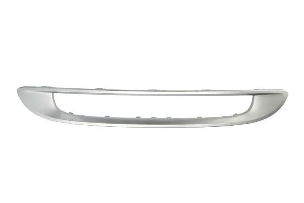 BLIC 6502-07-3502998P Trim/Protection Strip, radiator grille