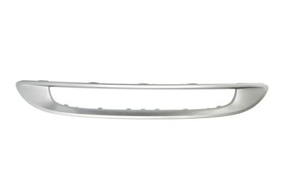 Trim/Protection Strip, radiator grille BLIC 6502-07-3502998P