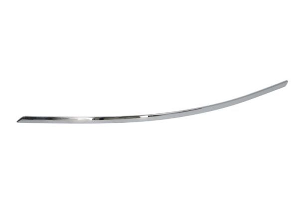 BLIC 6502-07-3509922P Trim/Protection Strip, bumper
