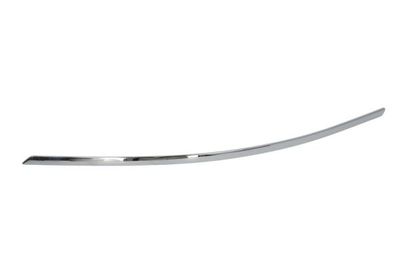 Trim/Protection Strip, bumper BLIC 6502-07-3509922P