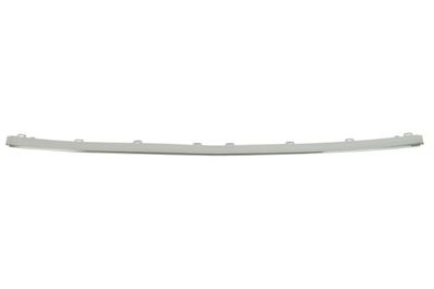 Trim/Protection Strip, bumper BLIC 6502-07-3513920P