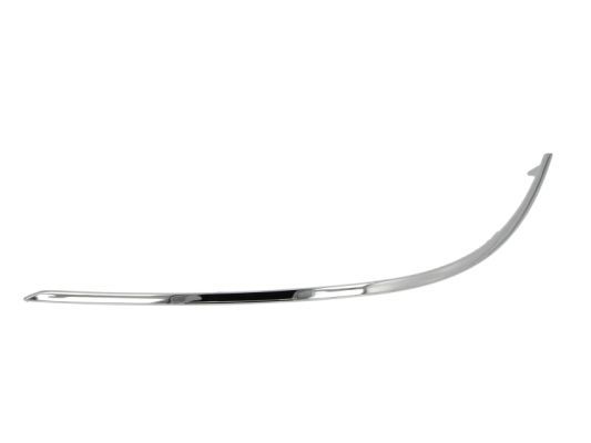 BLIC 6502-07-3518923P Trim/Protection Strip, bumper