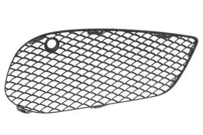 Ventilation Grilles, bumper BLIC 6502-07-3521914P