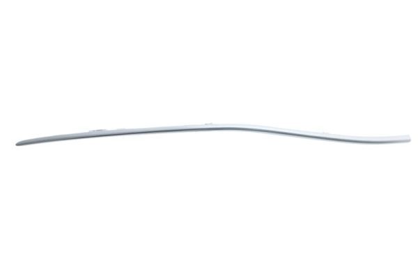 BLIC 6502-07-3522938P Trim/Protection Strip, bumper