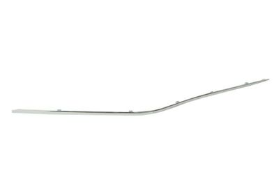 Trim/Protection Strip, bumper BLIC 6502-07-3527921P