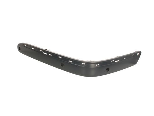 BLIC 6502-07-3527927P Trim/Protection Strip, bumper