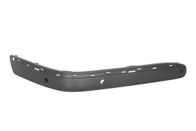 Trim/Protection Strip, bumper BLIC 6502-07-3527928P