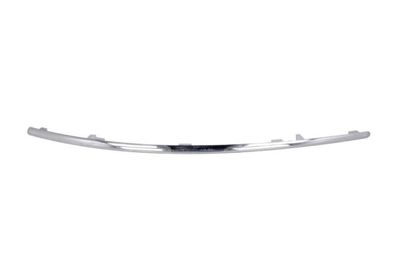 Trim/Protection Strip, bumper BLIC 6502-07-3529928P