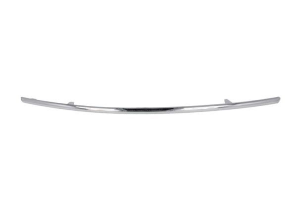 BLIC 6502-07-3529929P Trim/Protection Strip, bumper
