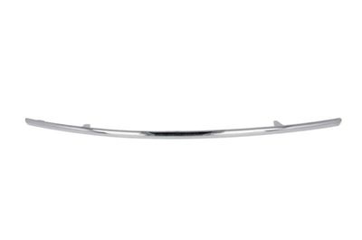 Trim/Protection Strip, bumper BLIC 6502-07-3529929P