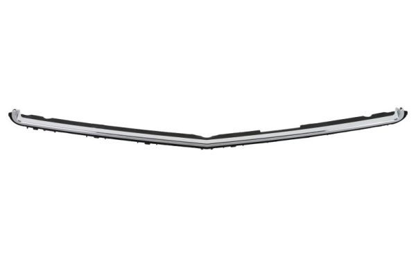 BLIC 6502-07-3529990P Trim/Protection Strip, radiator grille