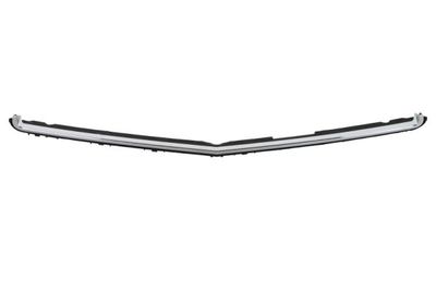 Trim/Protection Strip, radiator grille BLIC 6502-07-3529990P