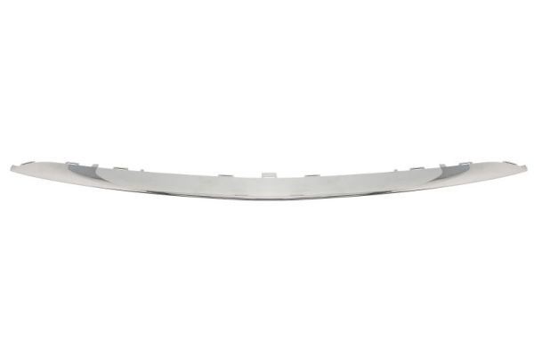 BLIC 6502-07-3531910P Trim/Protection Strip, bumper
