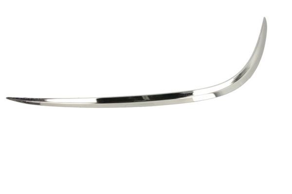 BLIC 6502-07-3531916P Trim/Protection Strip, bumper