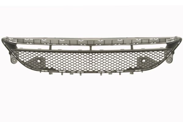 BLIC 6502-07-3531990P Ventilation Grille, bumper