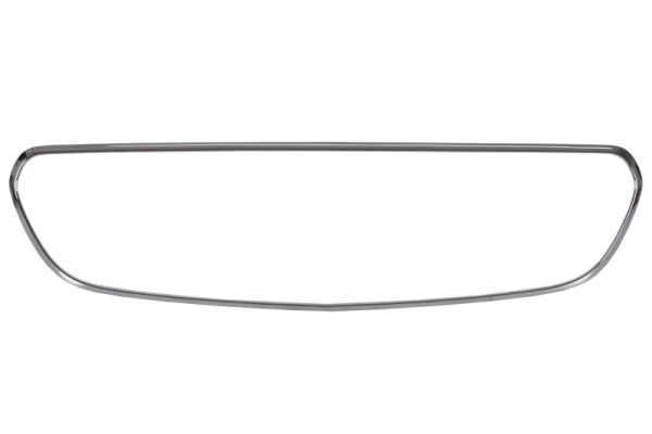 BLIC 6502-07-3531995P Trim/Protection Strip, radiator grille