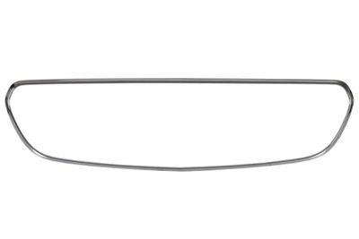Trim/Protection Strip, radiator grille BLIC 6502-07-3531995P