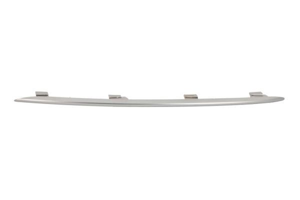 BLIC 6502-07-3533992PP Trim/Protection Strip, radiator grille