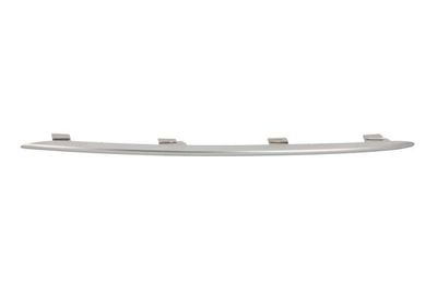 Trim/Protection Strip, radiator grille BLIC 6502-07-3533992PP