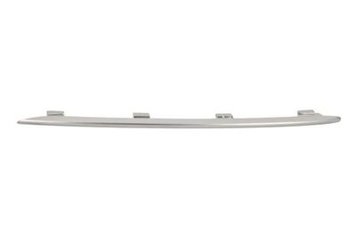 Trim/Protection Strip, radiator grille BLIC 6502-07-3533994PP